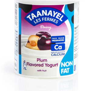 Taanayel Plum Non Fat Yoghurt