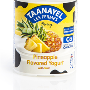 Taanayel Pineapple Yoghurt