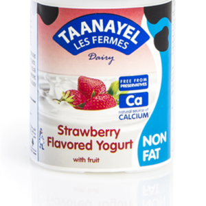 Taanayel Strawberry Non Fat Yoghurt