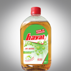 Hayat Antiseptic