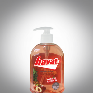 Hayat Fruit Splash Soap