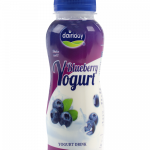 Dairiday Yogurt Blueberry